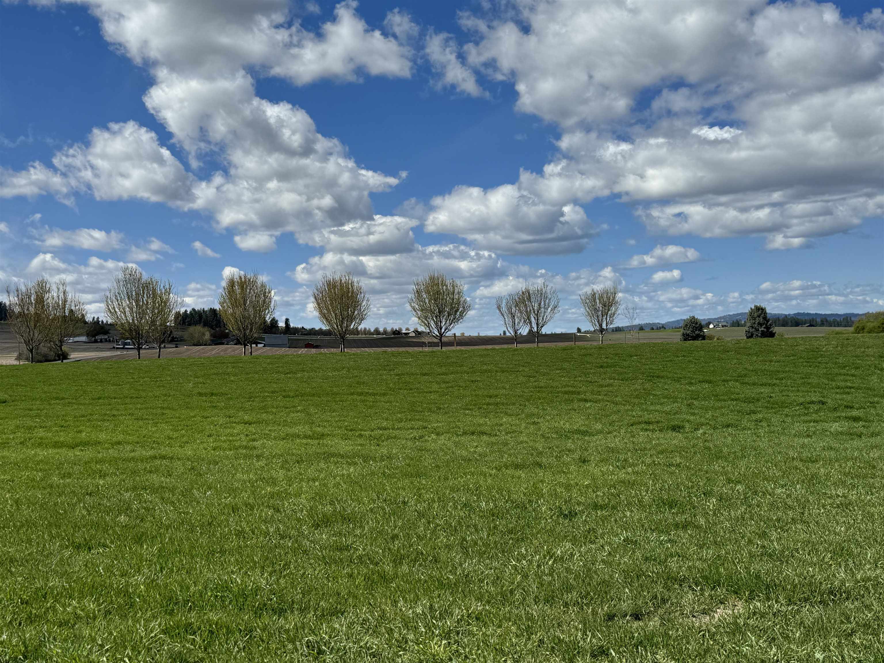 11300 North Bruce Road Spokane, WA 99217 - Photo 25 of 31