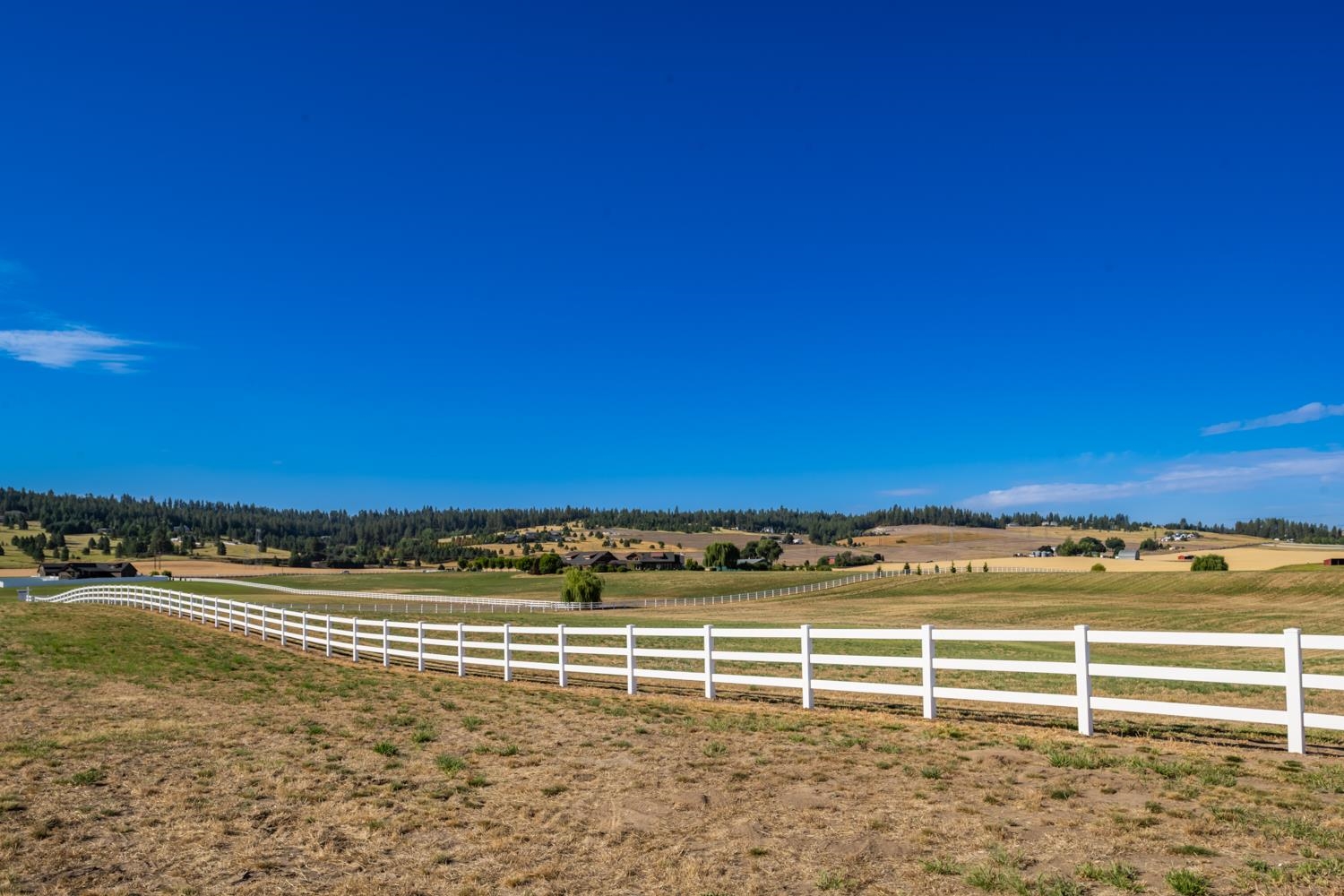 11300 North Bruce Road Spokane, WA 99217 - Photo 4 of 31