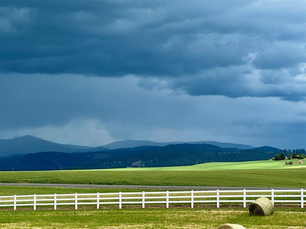 11300 North Bruce Road Spokane, WA 99217 - Photo 9 of 31