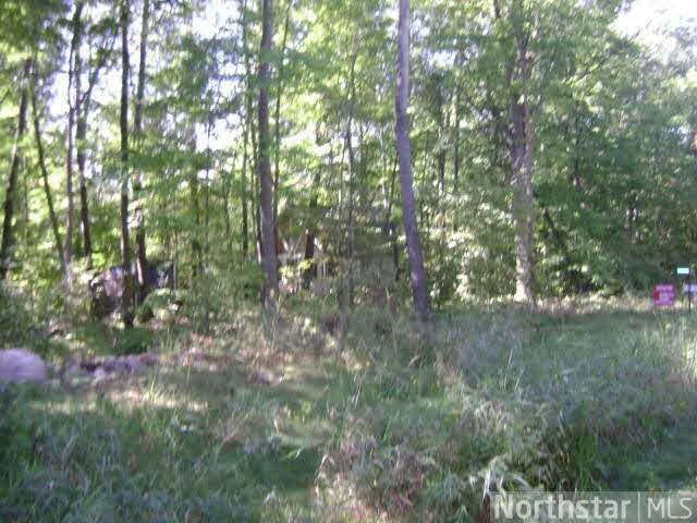 27178 Cedar Road Cushing, MN 56443 - Photo 16 of 17