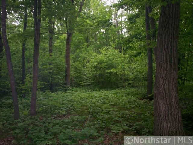 27178 Cedar Road Cushing, MN 56443 - Photo 3 of 17