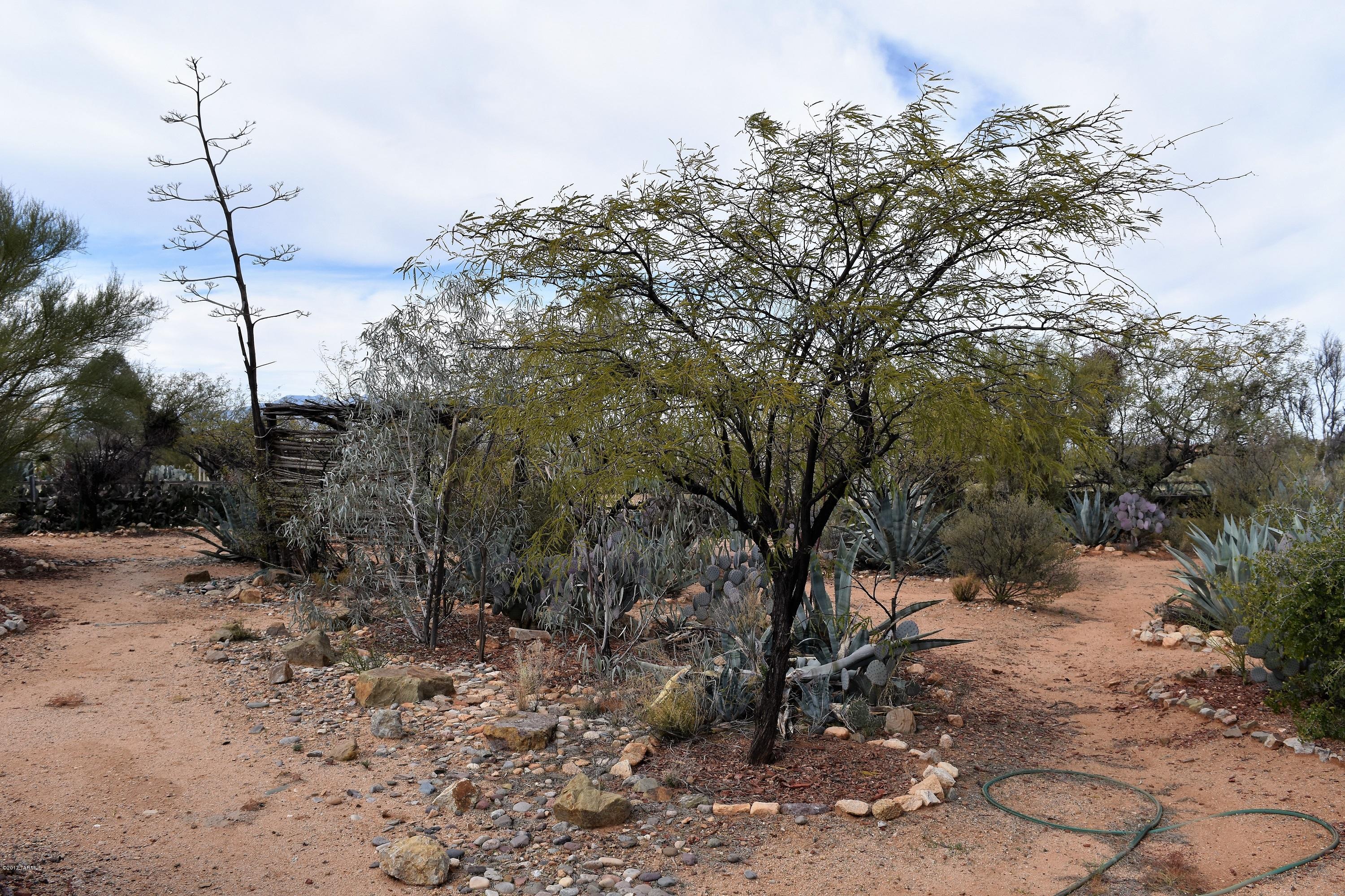 15885 West Lynnette Road Tucson, AZ 85736 - Photo 20 of 23 Gallery Image 20
