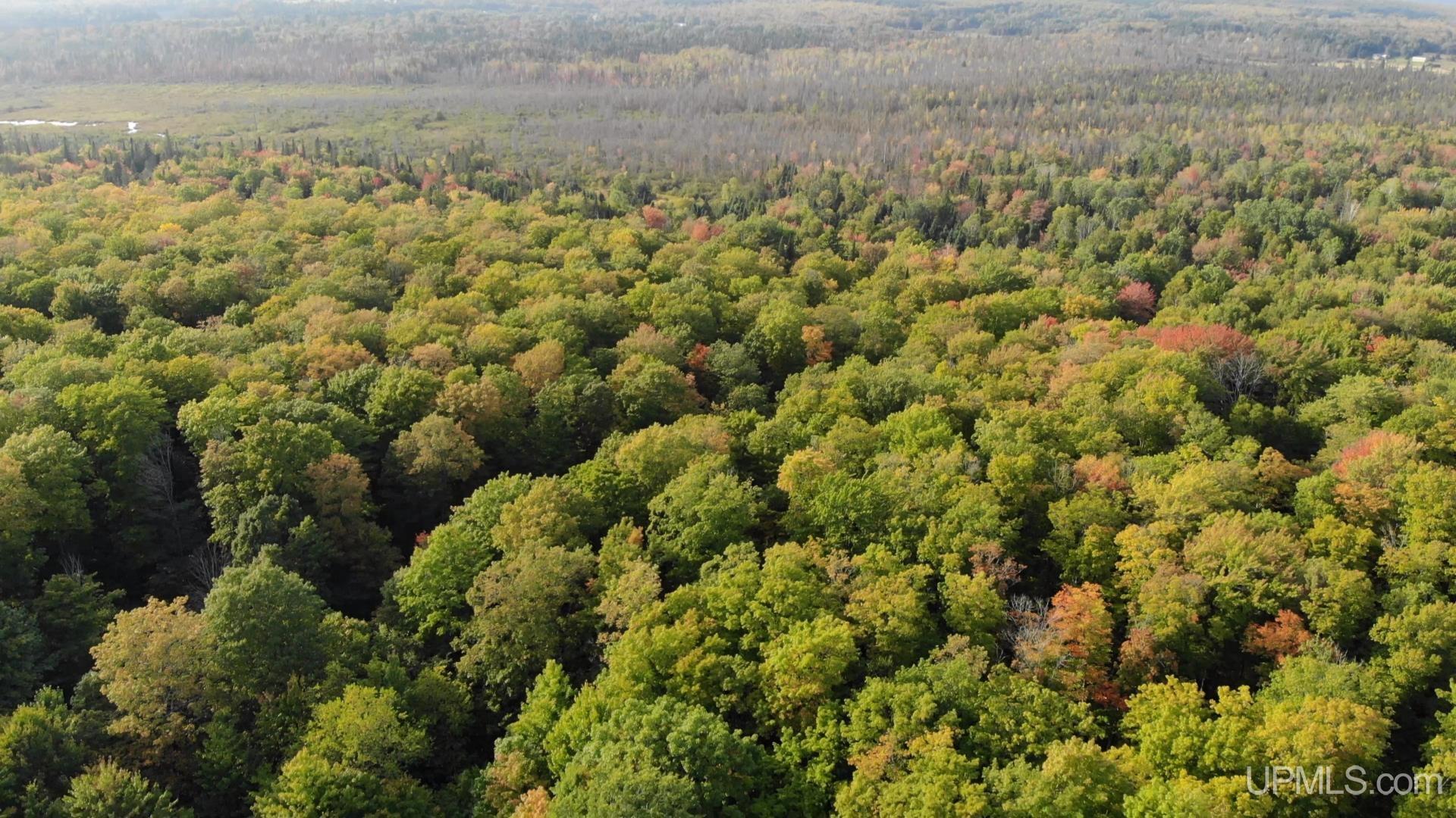 Tbda Worham Road Chassell, MI 49916 - Photo 4 of 28