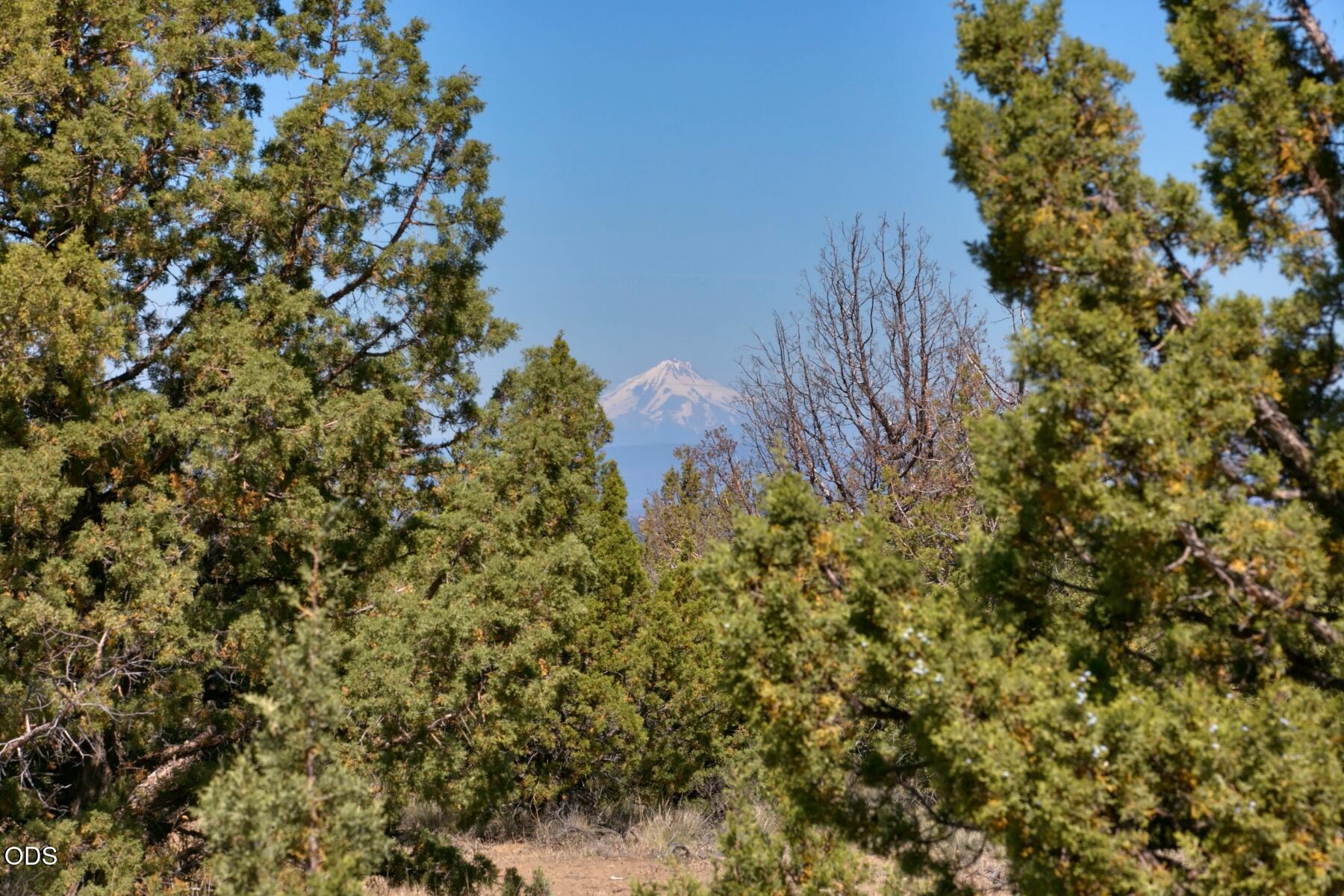0 Southwest Reif Road, Unit PARCEL 1 Powell Butte, OR 97753 - Photo 13 of 20