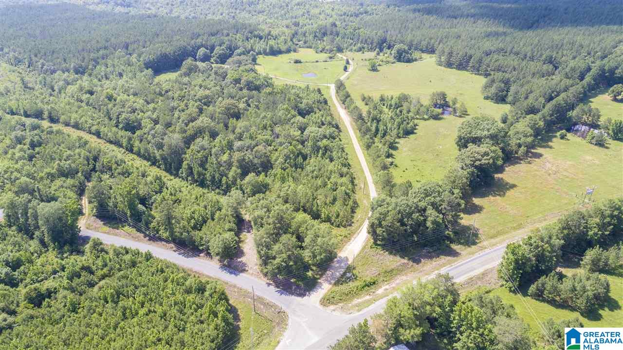223 Drummond Road Talladega, AL 35160 - Photo 31 of 31