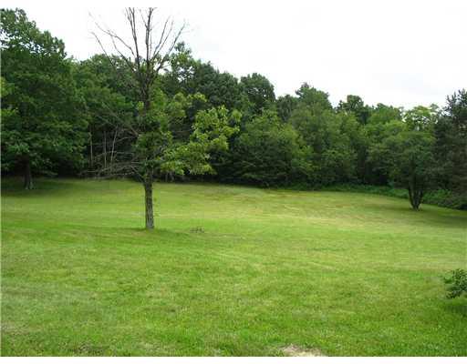 339 Rochester Road Rochester, PA 15074 - Photo 14 of 18 Yard/Garden.
