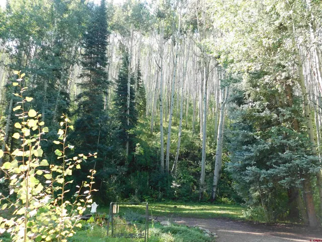 a view of a yard with large trees