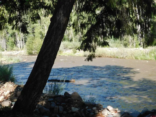 a view of a backyard of the house