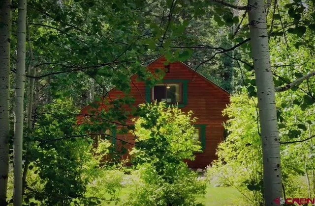 a plant that is in front of a tree