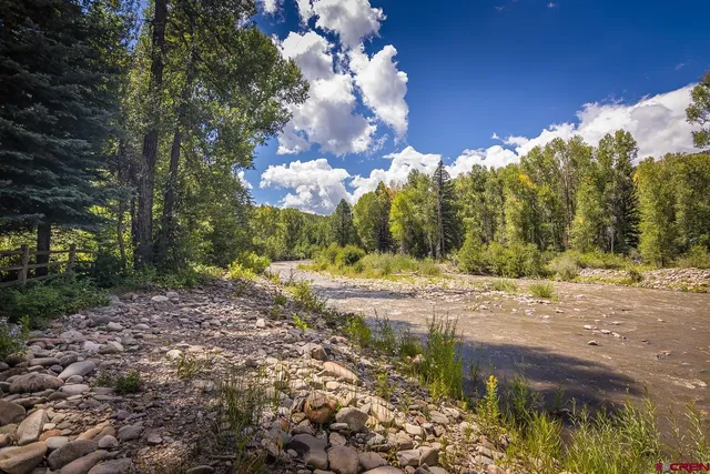 a view of a yard with of trees
