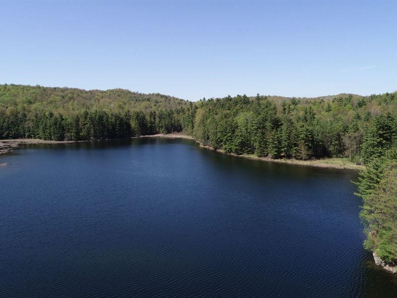 1026 Huff Pond Road Sudbury, VT 05733 - Photo 32 of 39