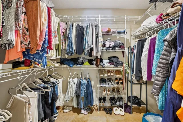 a view of a large trees in front of a house