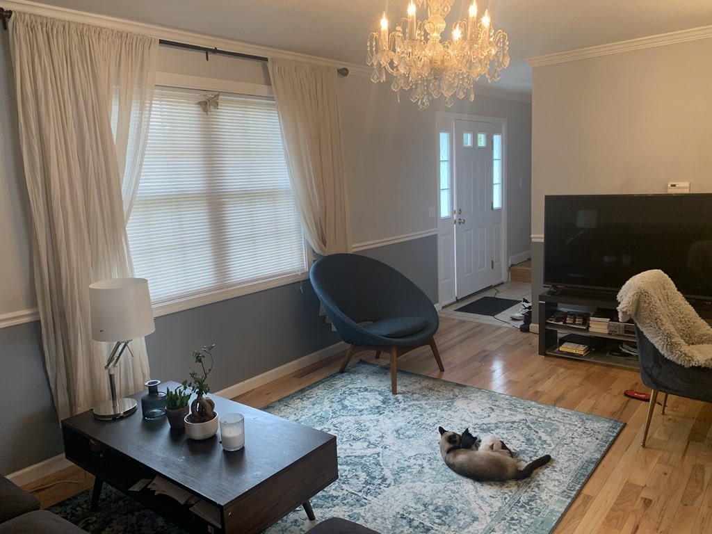 113 Michon Street Springfield, MA 01151 - Photo 4 of 21 Gallery Image 4