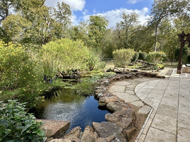 4727 Sugar Maple Court Fulshear, TX 77441 - Photo 38 of 50 a view of swimming pool with lawn chairs and plants