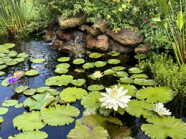 4727 Sugar Maple Court Fulshear, TX 77441 - Photo 39 of 50 a picture of flowers