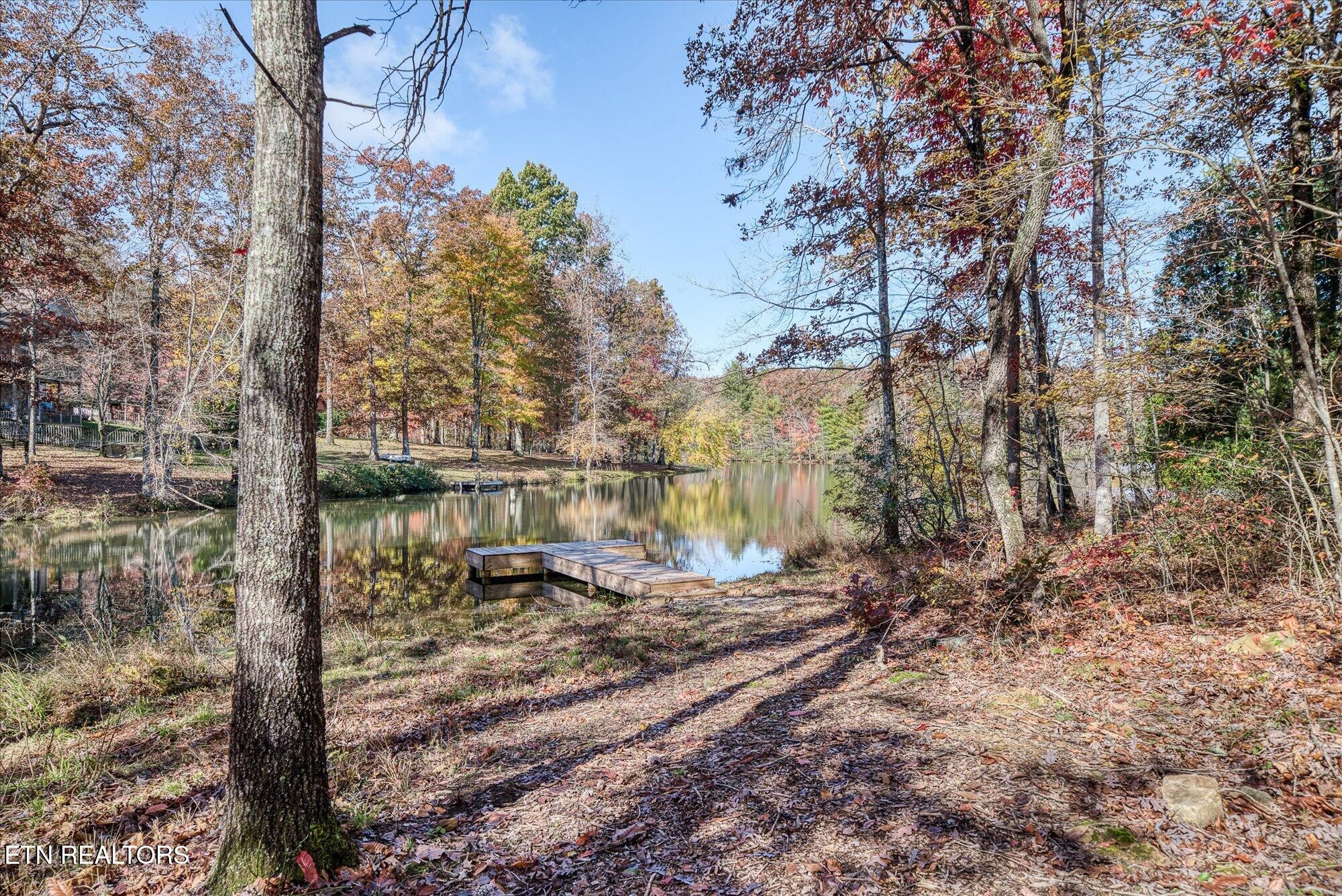 565 Grassland Road Crossville, TN 38572 - Photo 44 of 53 a backyard of a house with lots of green space