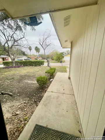 a view of a backyard