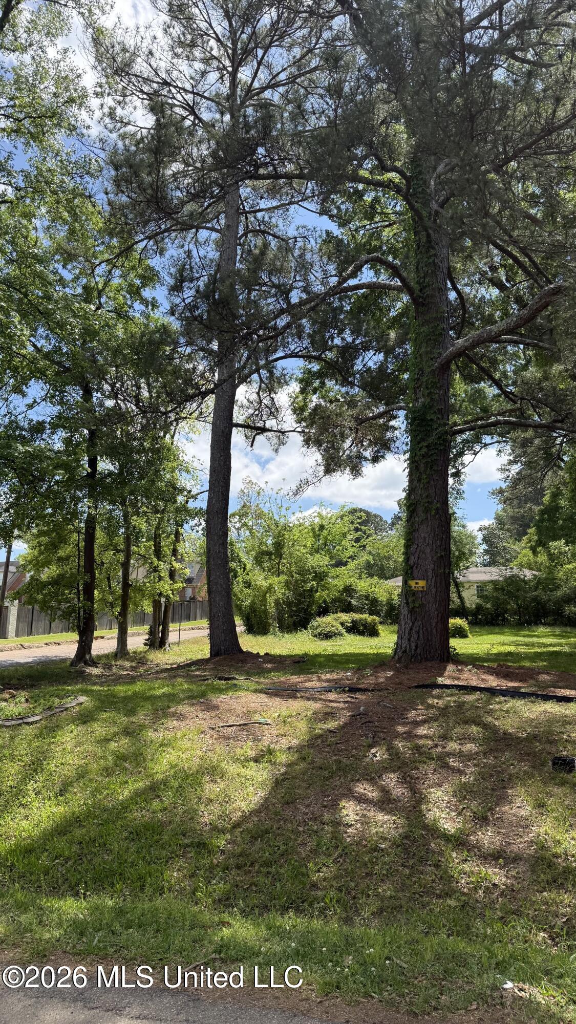 791 Cedarhurst Road Jackson, MS 39206 - Photo 2 of 3 IMG_3505