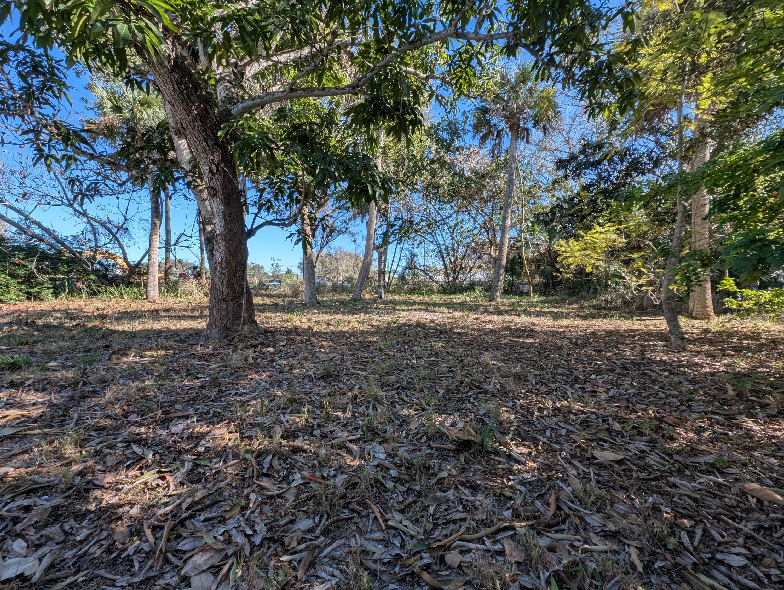 521 Southwest Halpatiokee Street Stuart, FL 34994 - Photo 23 of 25 Backyard
