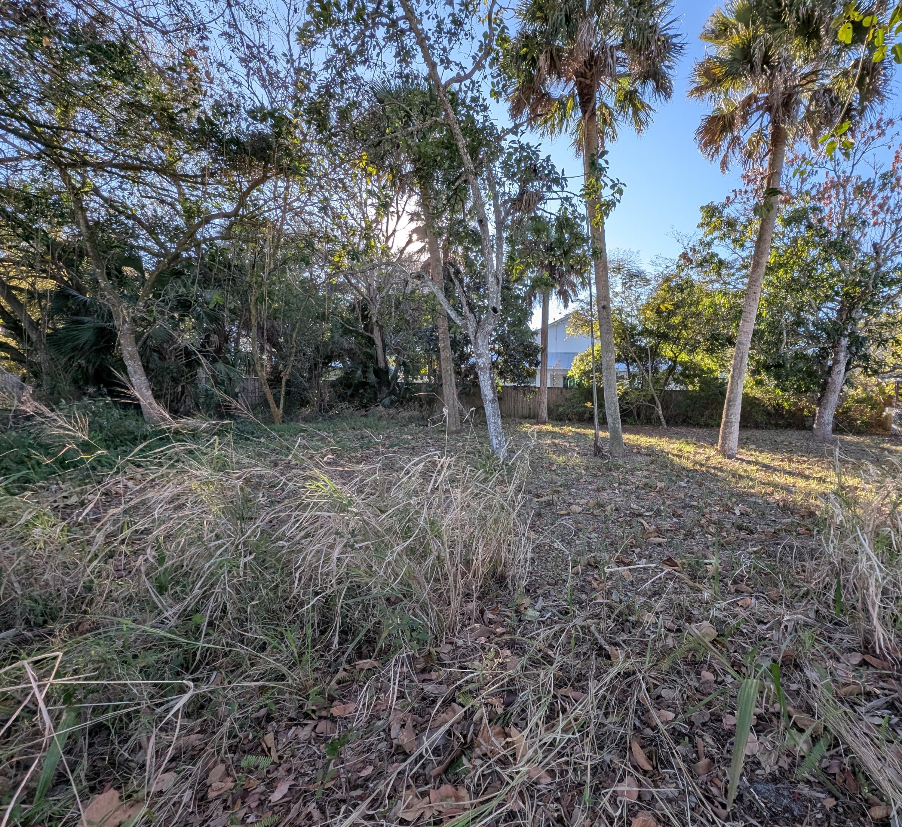 521 Southwest Halpatiokee Street Stuart, FL 34994 - Photo 25 of 25 Backyard