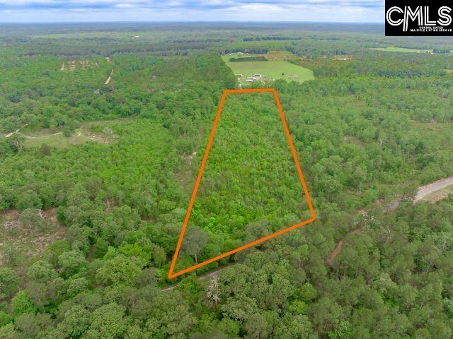 0 Seivern Road Wagener, SC 29164 - Photo 9 of 23