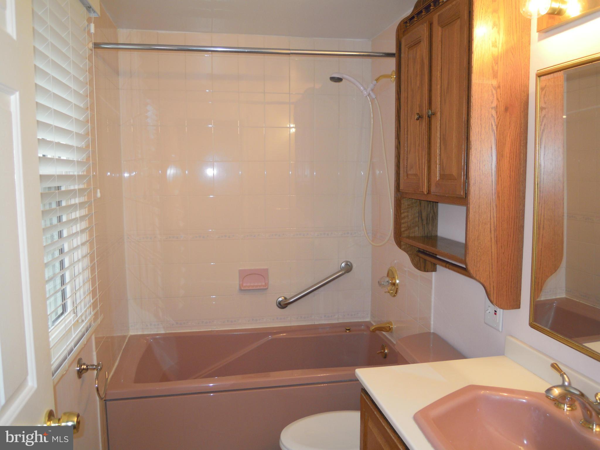 229 West Timonium Road Lutherville-Timonium, MD 21093 - Photo 14 of 29 Hall Bath with Whirlpool tub
