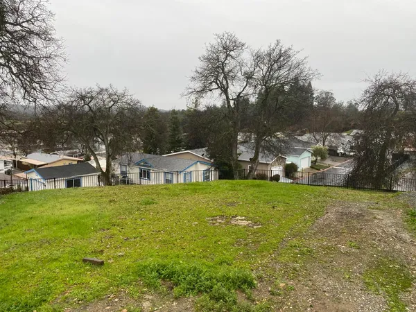 a view of a big yard with potted plants and large trees