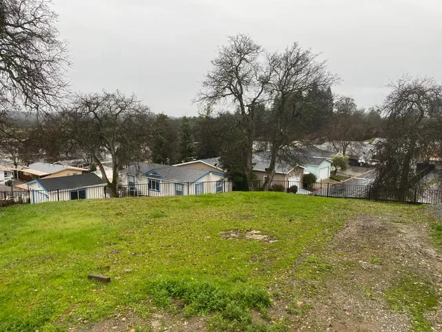 a view of a big yard with potted plants and large trees