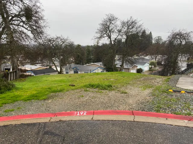 a view of park with large trees