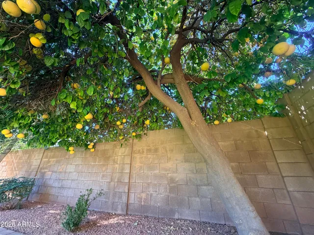 $3,200 | 16810 North 62nd Place, Scottsdale, AZ 85254