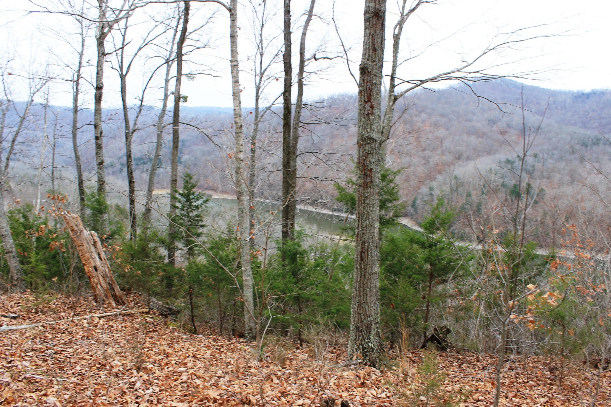 2 Cornerstone Pkwy Point Allons, TN 38541 - Photo 11 of 13