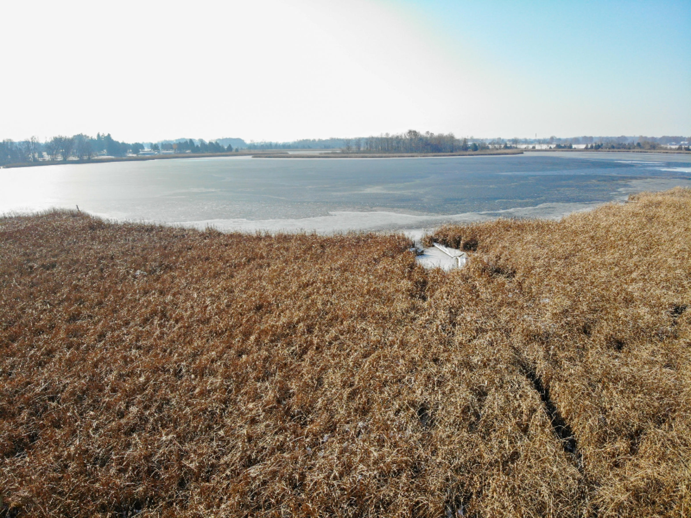 454 Turtle Lake Road Union City, MI 49094 - Photo 30 of 31 454 Turtle Lake Road, Union City-500