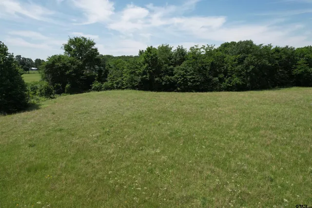a view of a big yard with plants and large trees
