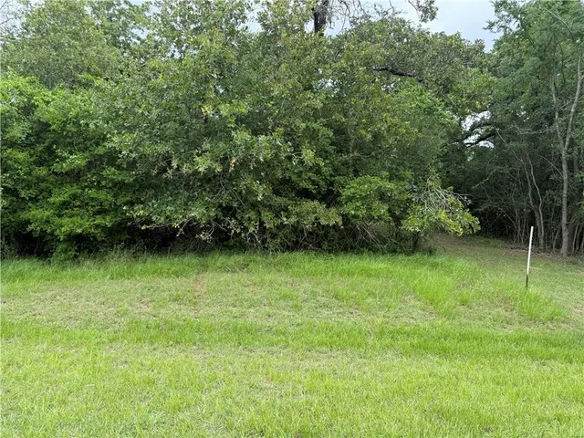 a view of a green field