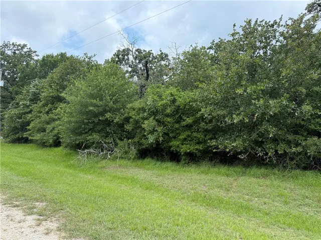 a view of a green field