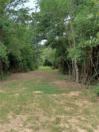 a view of a field with trees in the background