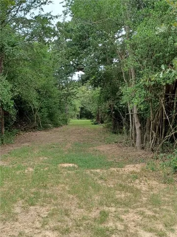 a view of a field with trees in the background