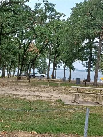 a view of a yard with large trees