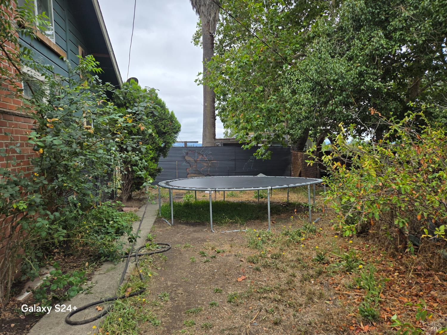 3825-3823 Petaluma Hill Road Santa Rosa, CA 95404 - Photo 13 of 17 Backyard