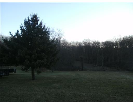 2130 Pleasant Hill Road Baden, PA 15005 - Photo 4 of 7 Land. SLIGHTLY ROLLING LOT WITH WILD LIFE