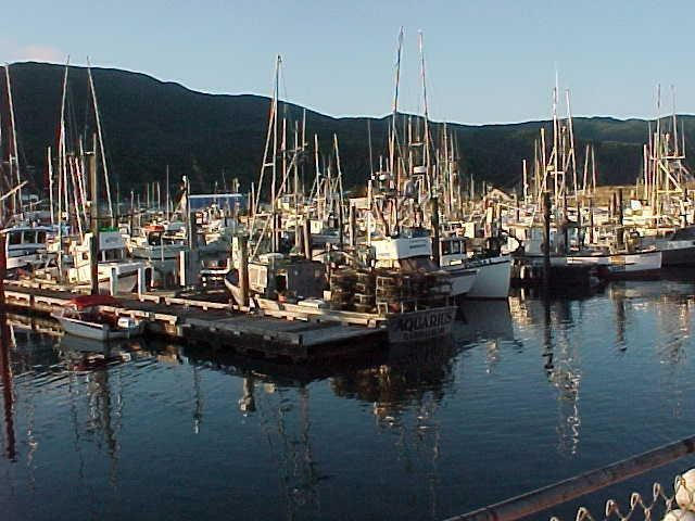 0 4th Street Wheeler, OR 97147 - Photo 6 of 6 MARINA IN GARIBALDI