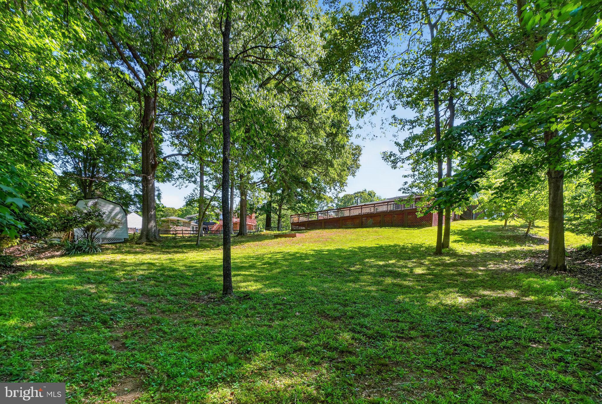 507 Clarks Run Road La Plata, MD 20646 - Photo 32 of 49 Lush green oasis in a serene setting.