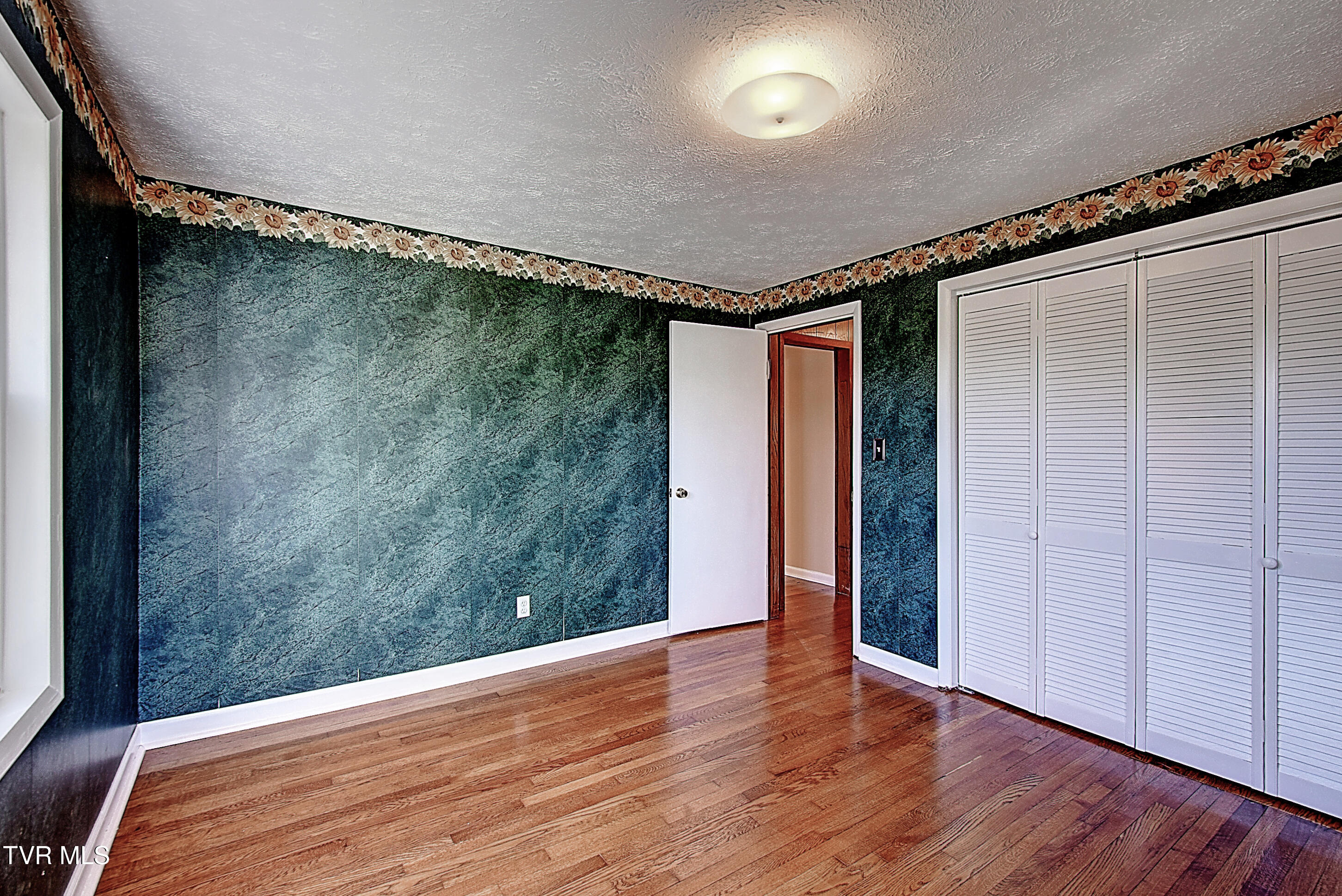 433 Division Street Elizabethton, TN 37643 - Photo 22 of 33 DSC_0349And8more