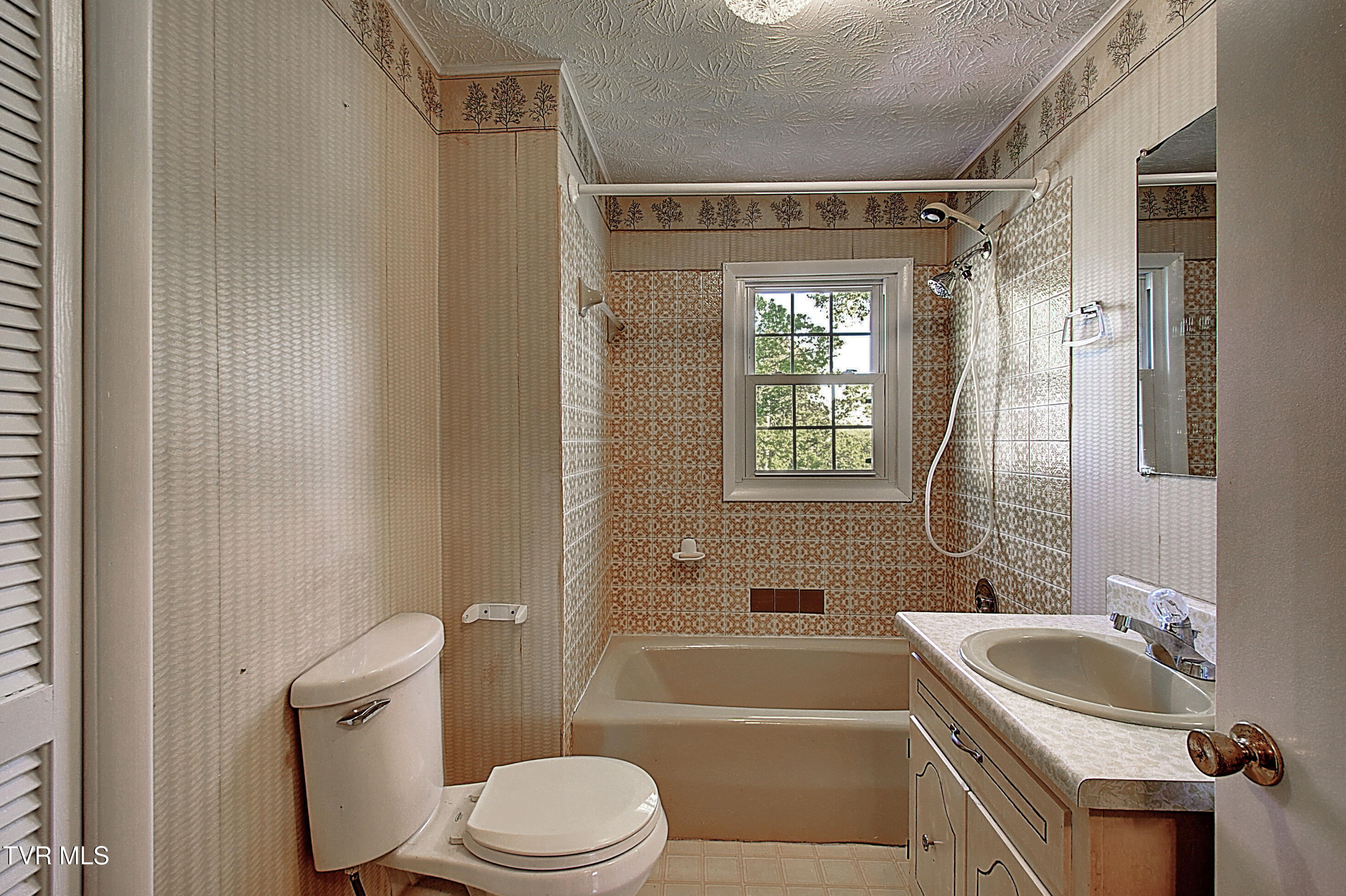 433 Division Street Elizabethton, TN 37643 - Photo 25 of 33 DSC_0421And8more