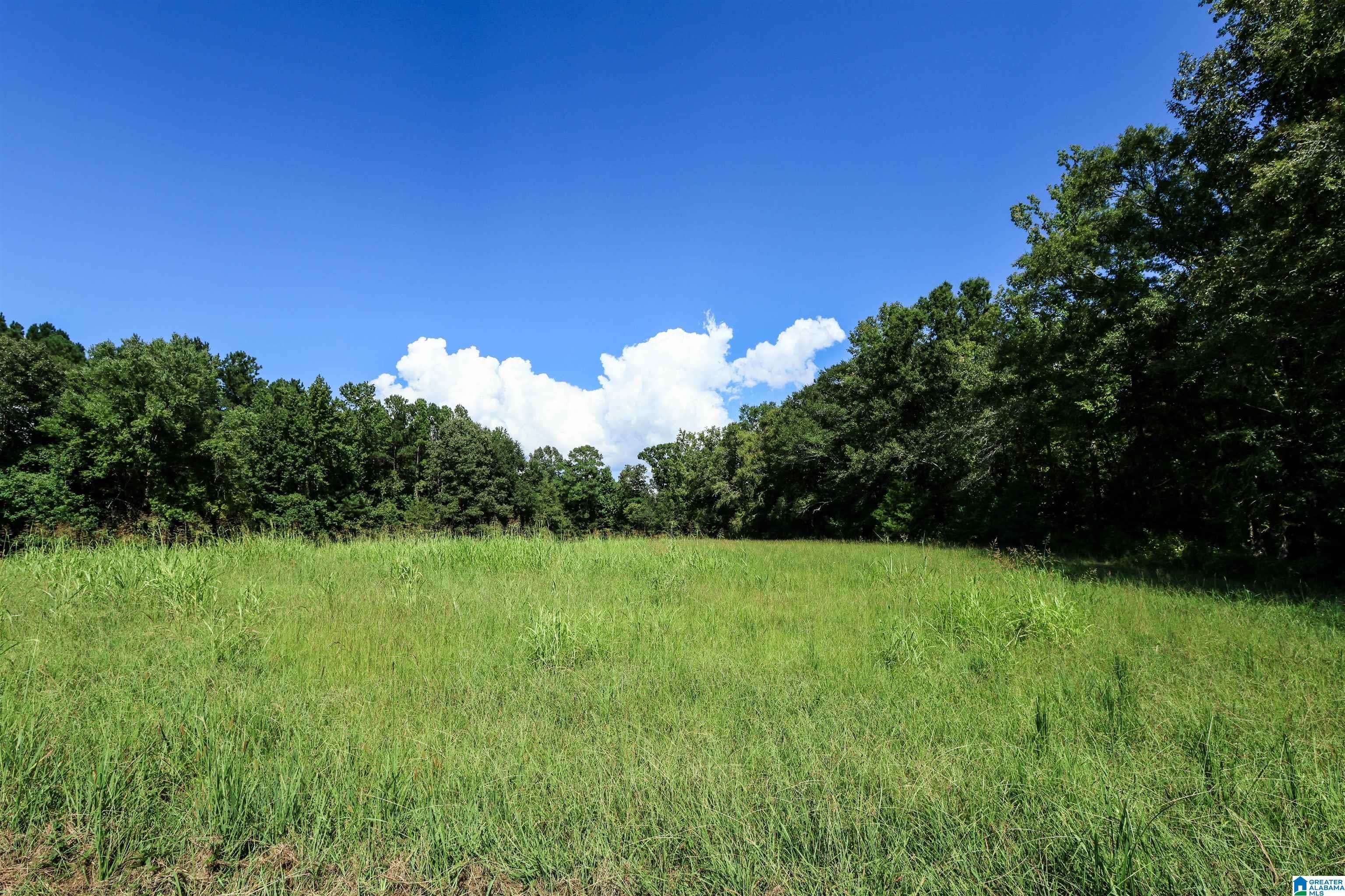 35 Rock Springs Road Ohatchee, AL 36271 - Photo 34 of 66 Gallery Image 34