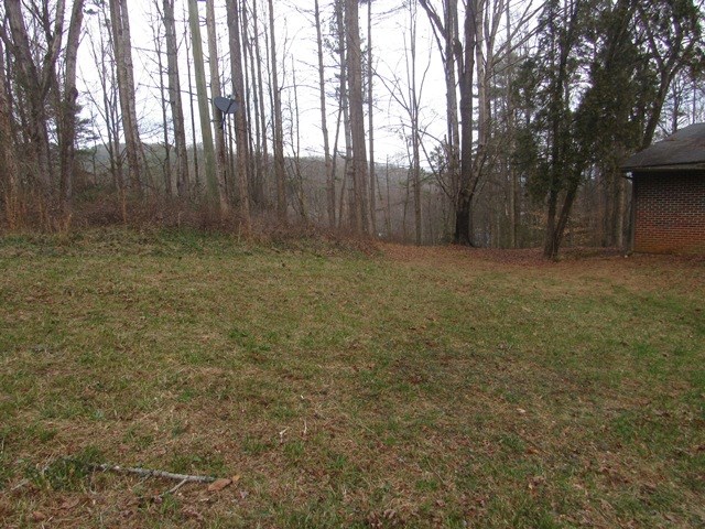 78 Holly Pl Road Marble, NC 28905 - Photo 2 of 27 a view of outdoor space and yard