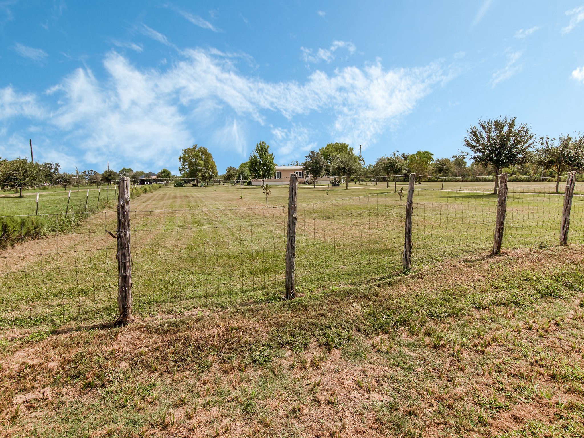 2234 Hopkins Road Beasley, TX 77417 - Photo 44 of 47