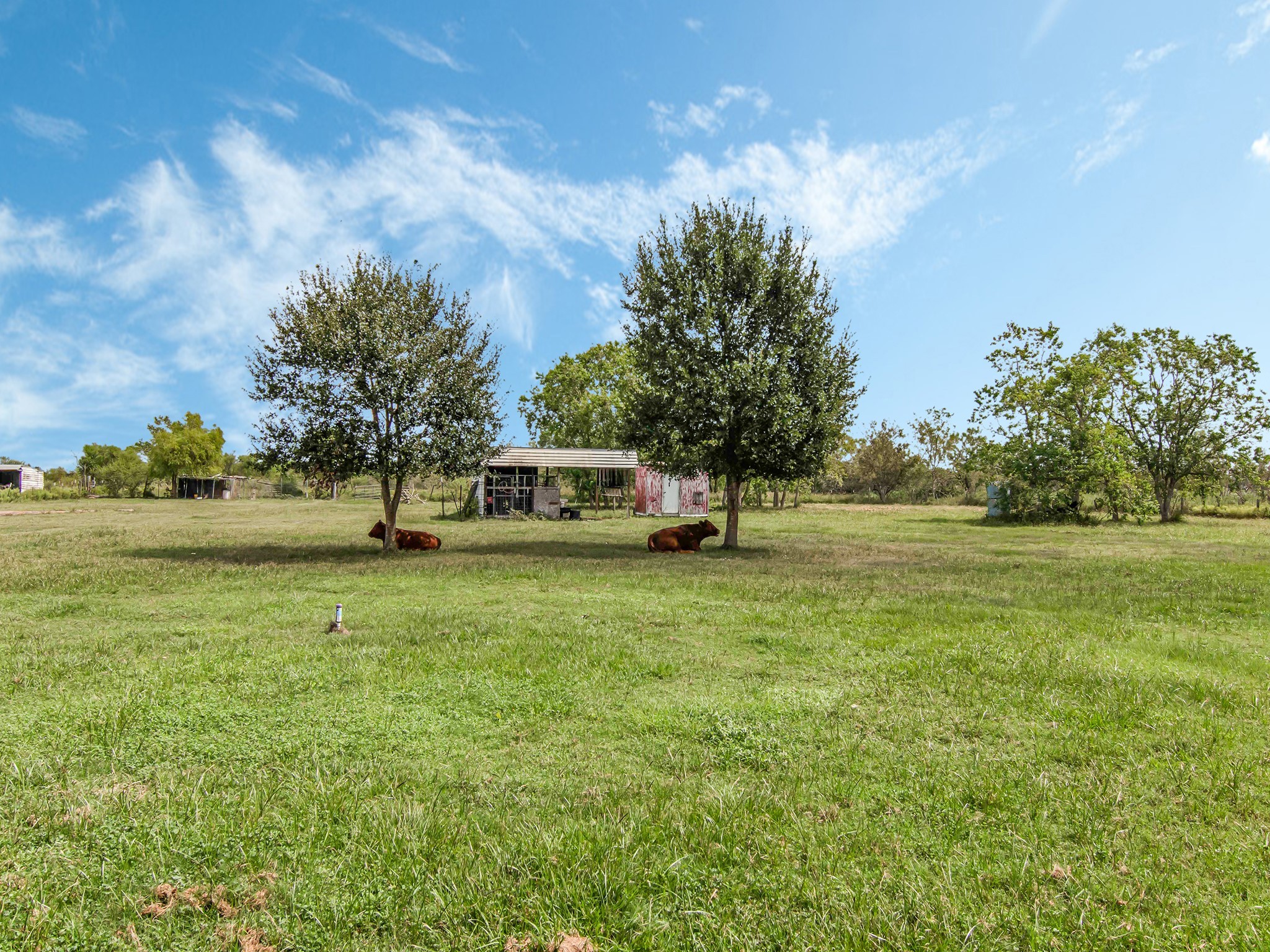 2234 Hopkins Road Beasley, TX 77417 - Photo 46 of 47