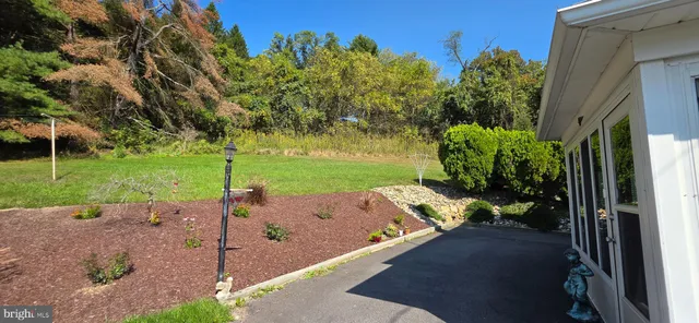 a view of a backyard