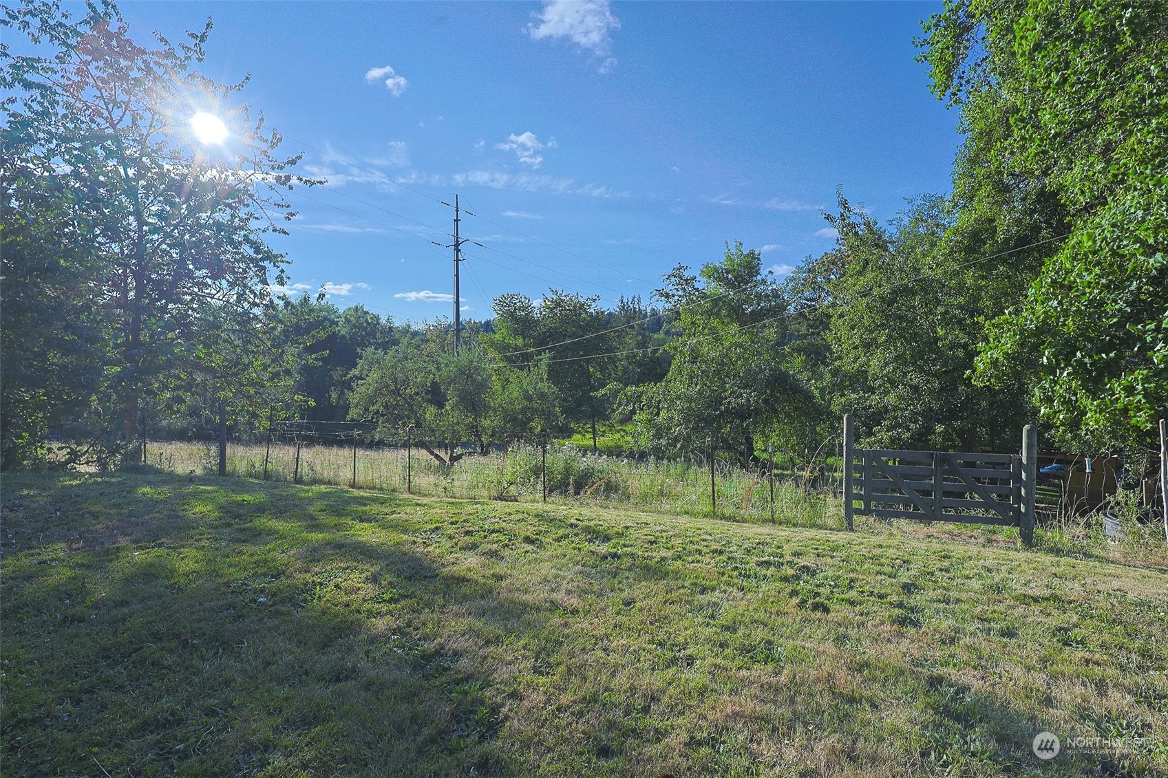 11120 Ohop Valley-Extension Road East Eatonville, WA 98328 - Photo 22 of 32 a big yard with lots of green space and deers